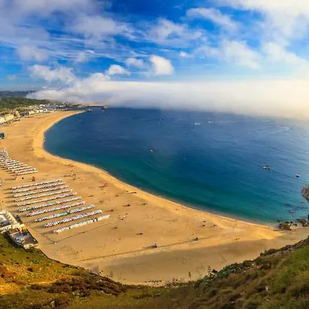 Experience - Your * 纳扎雷